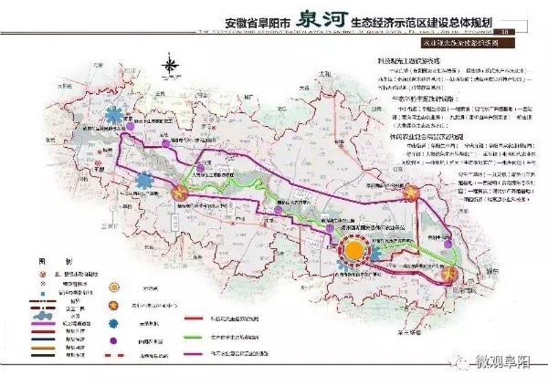 探寻阜阳苗木的绿色宝藏